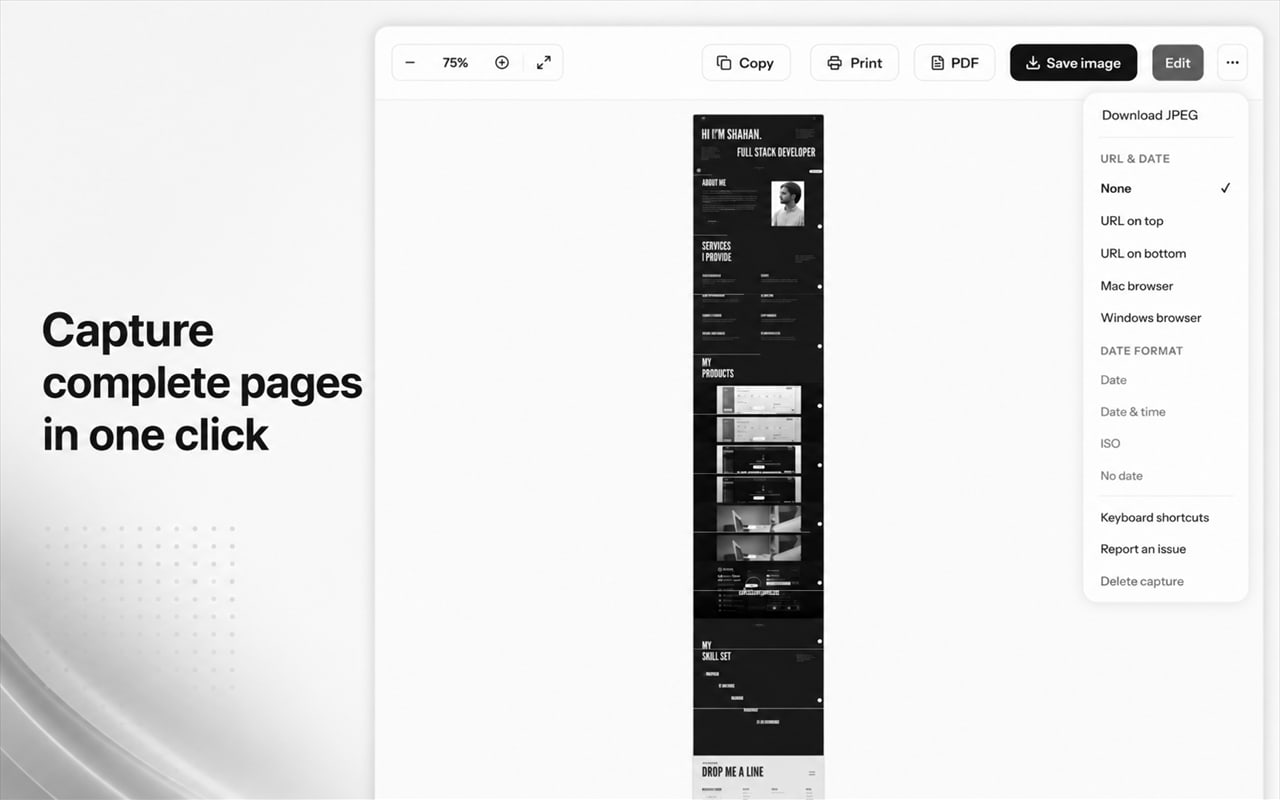 PageFuse screenshot
